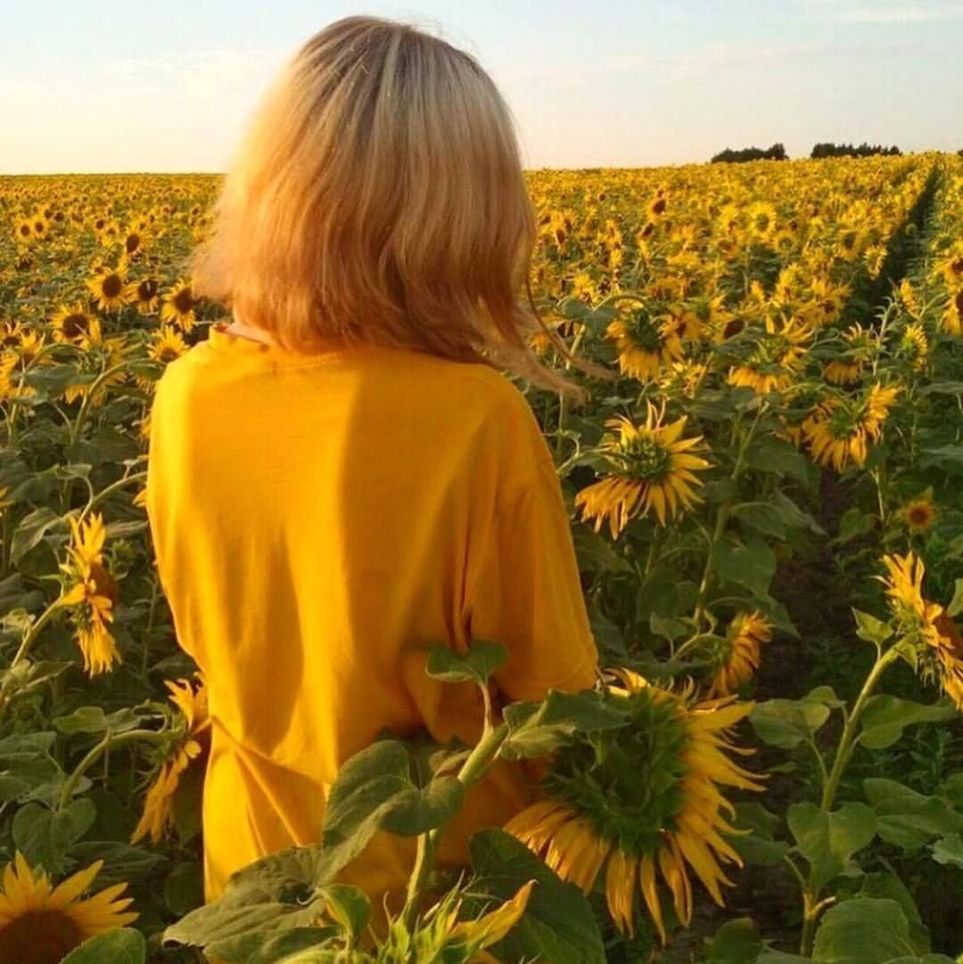 Жёлтые авы Эстетика