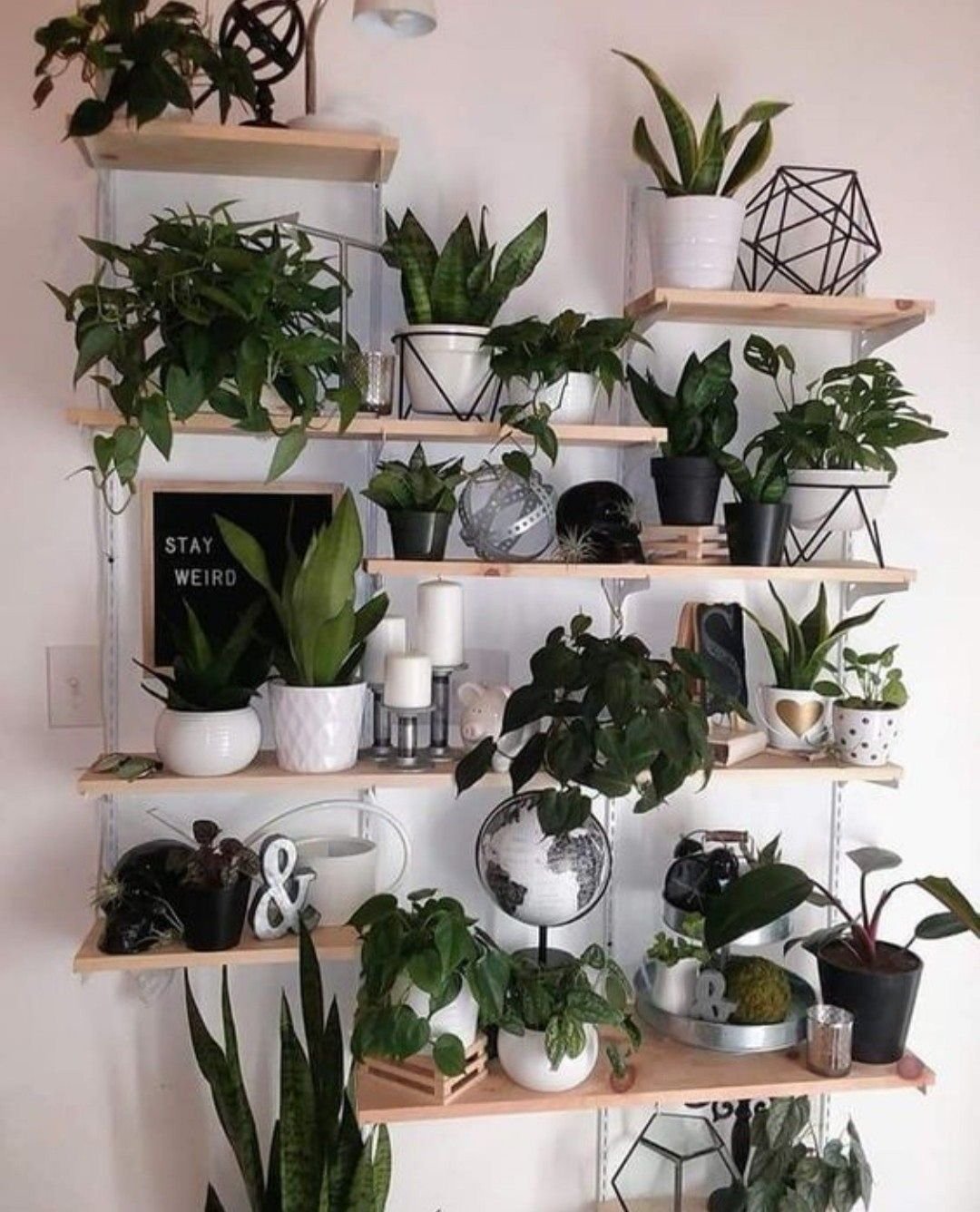 DIY для комнатных растений