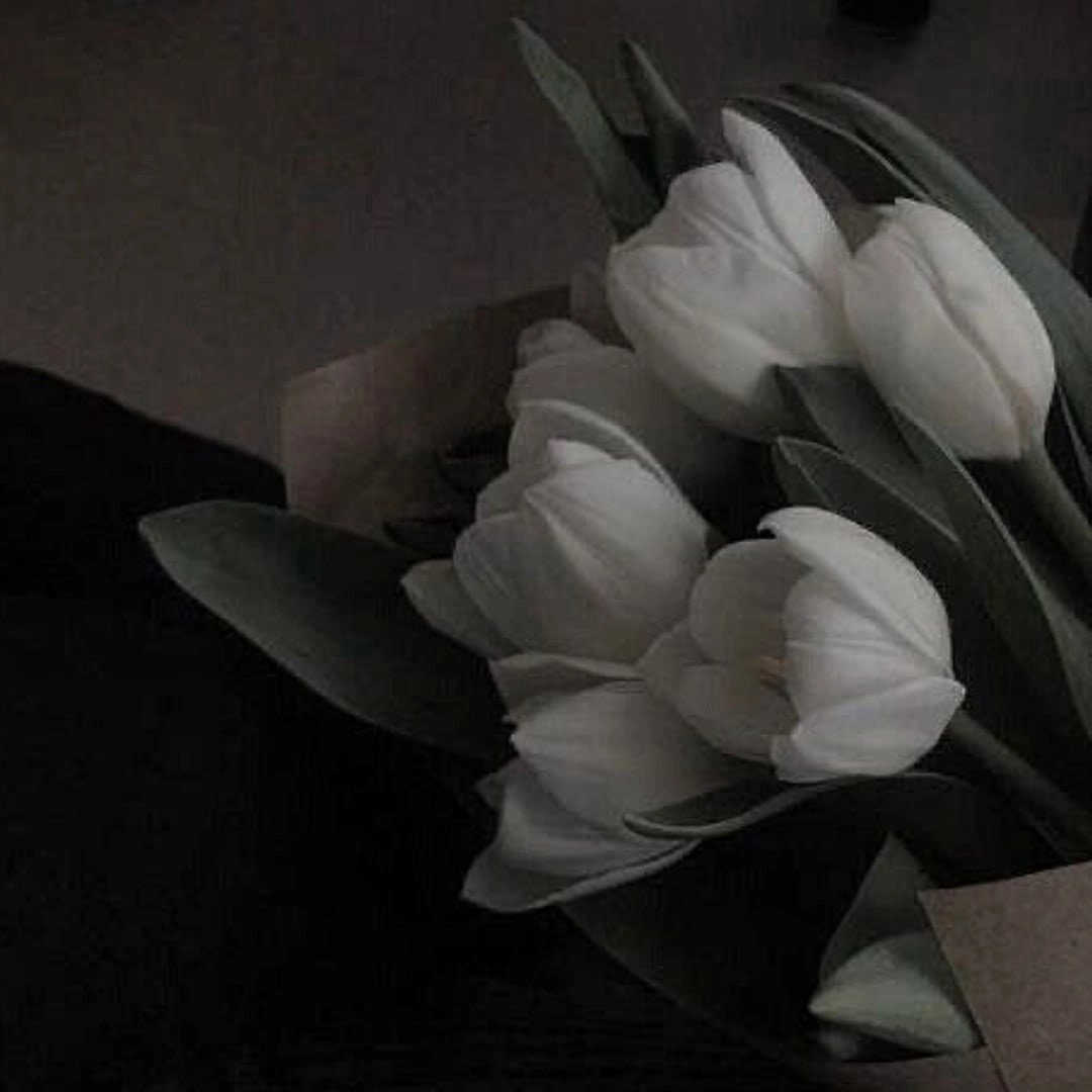 Tulips Dark Aesthetics