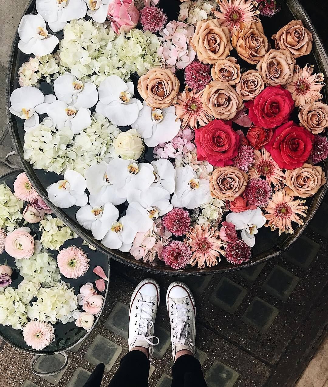Flower Power цветы