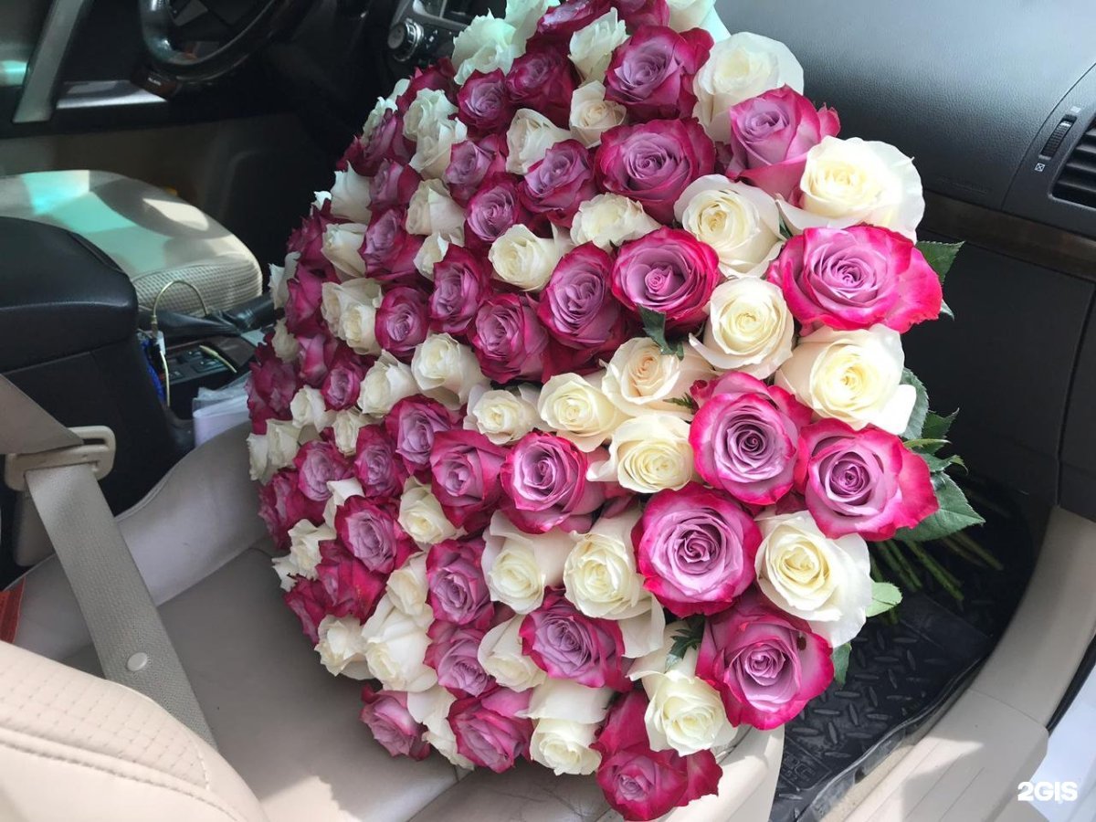 101 Роза Эквадор