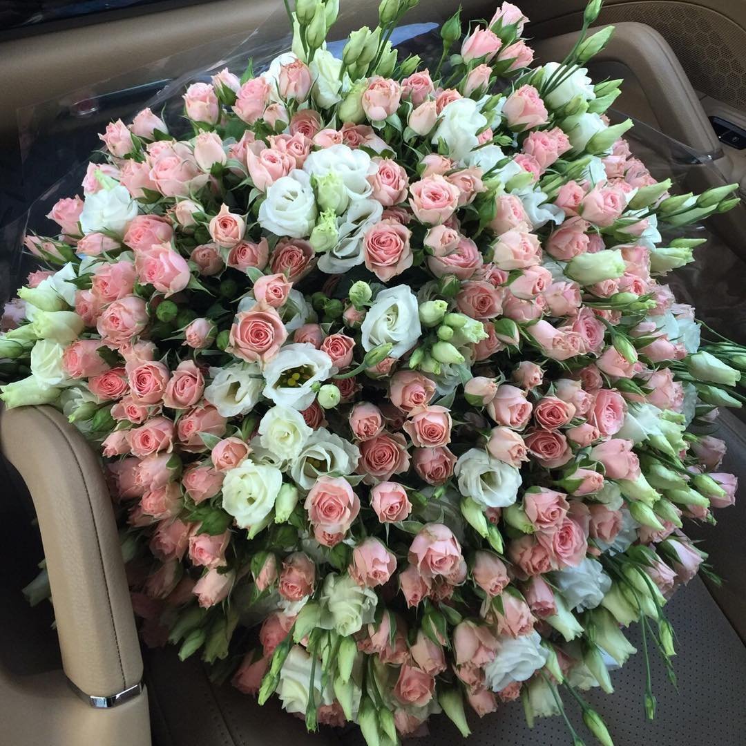 Роза кустовая Сонора