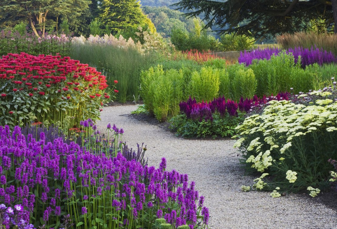 Russia has many beautiful Plants and Flowers and one of the prettiest