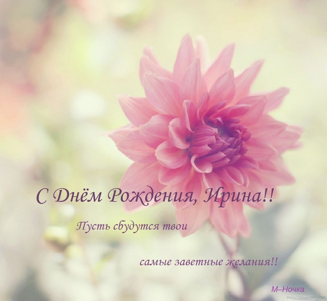 Нежный цветок по английскому