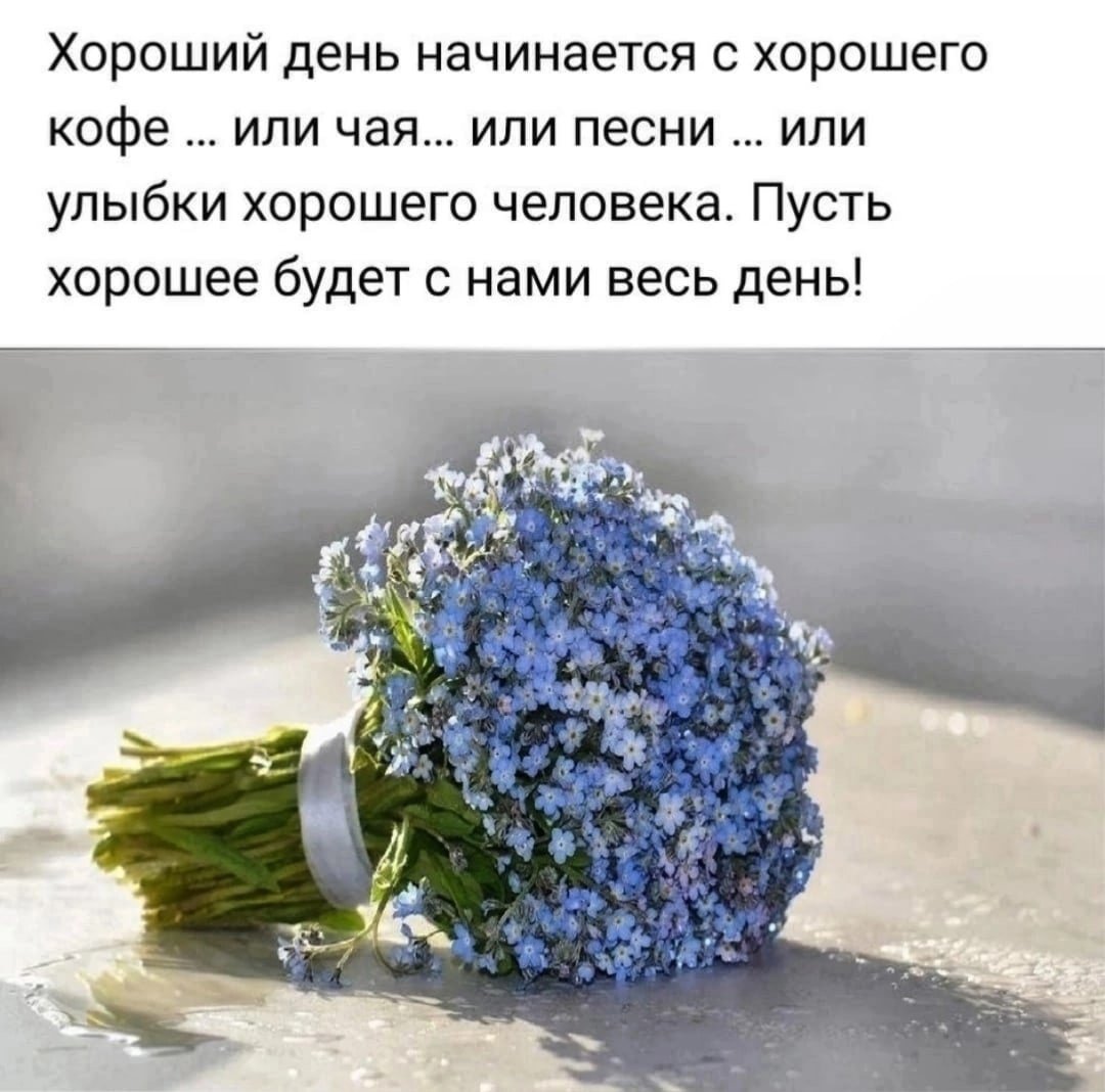 Букет из незабудок