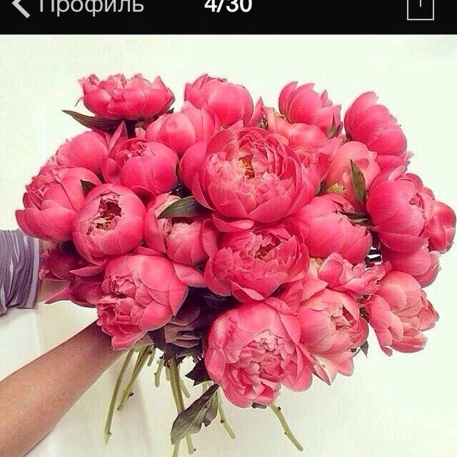 Букет с пионами