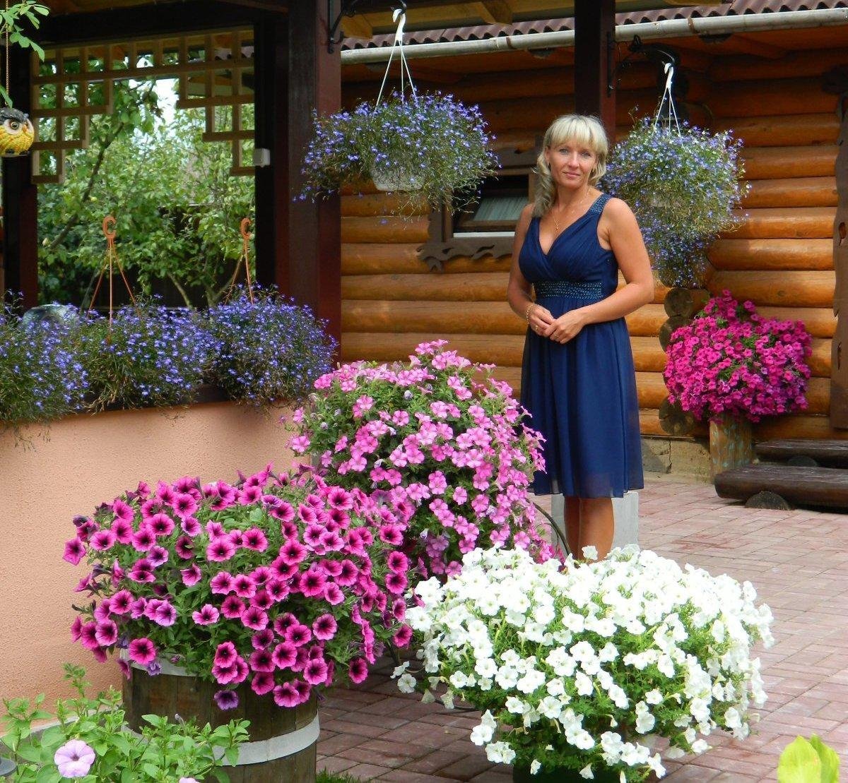 Светлана Лодисад петунии