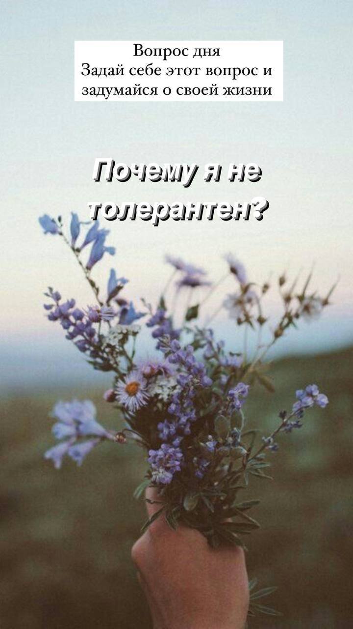 Полевые цветы Эстетика