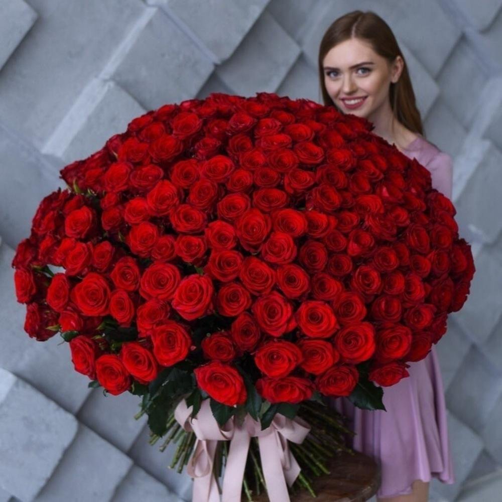 151 Роза 70 см