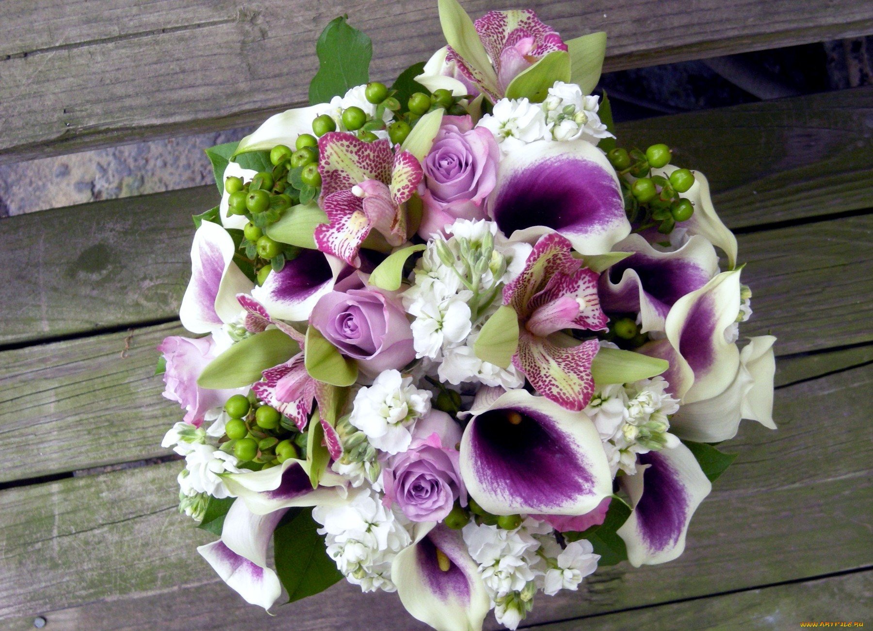 Калов бьюти. Каллы Монобукет. Свадебный букет каллы. Свадебные букеты лилии и каллы. Букет невесты каллы орхидеи и розы.