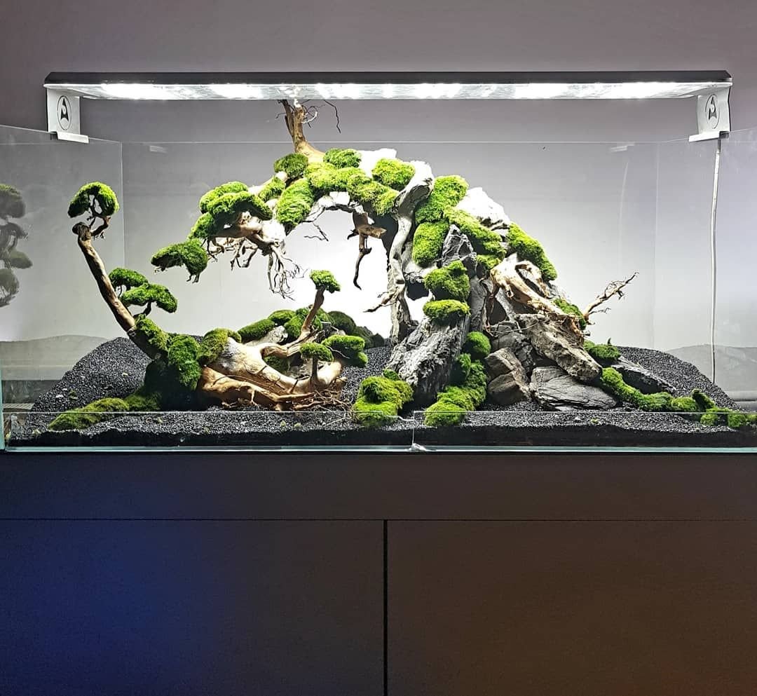 Aquascape 120x50x50