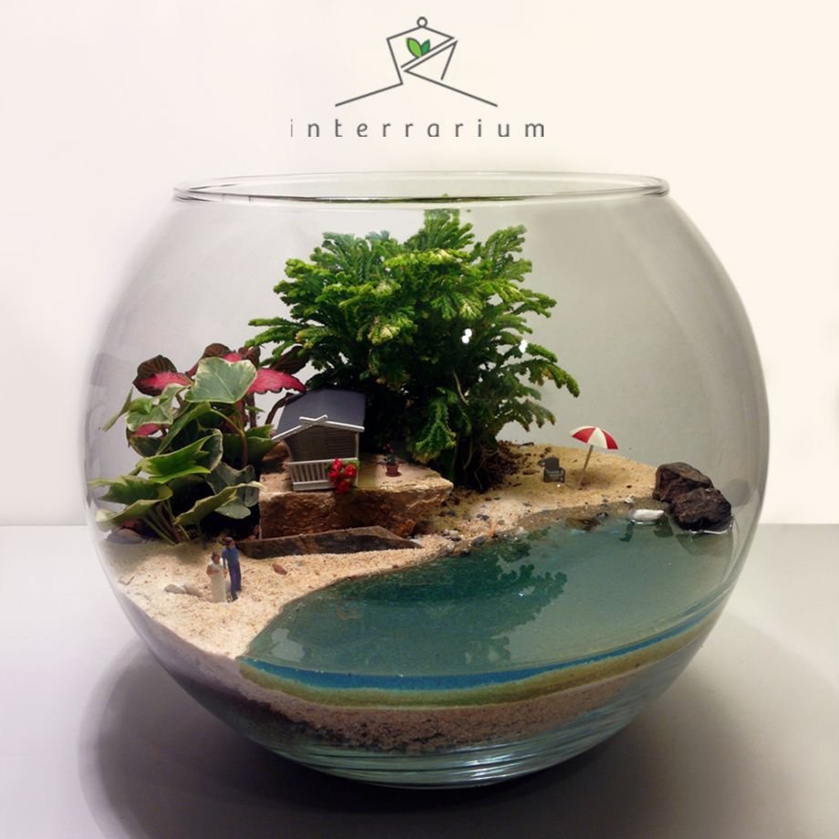 Флорариум с имитацией воды