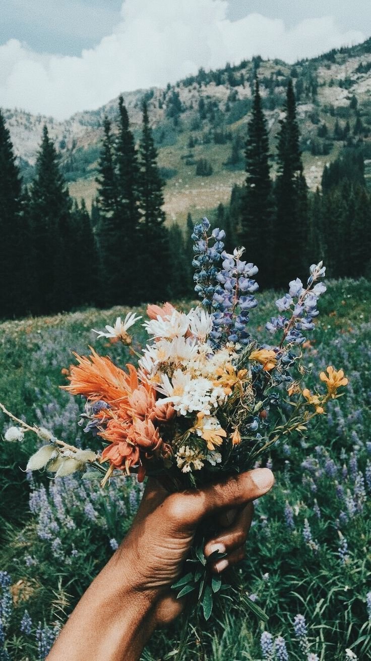Vsco цветы