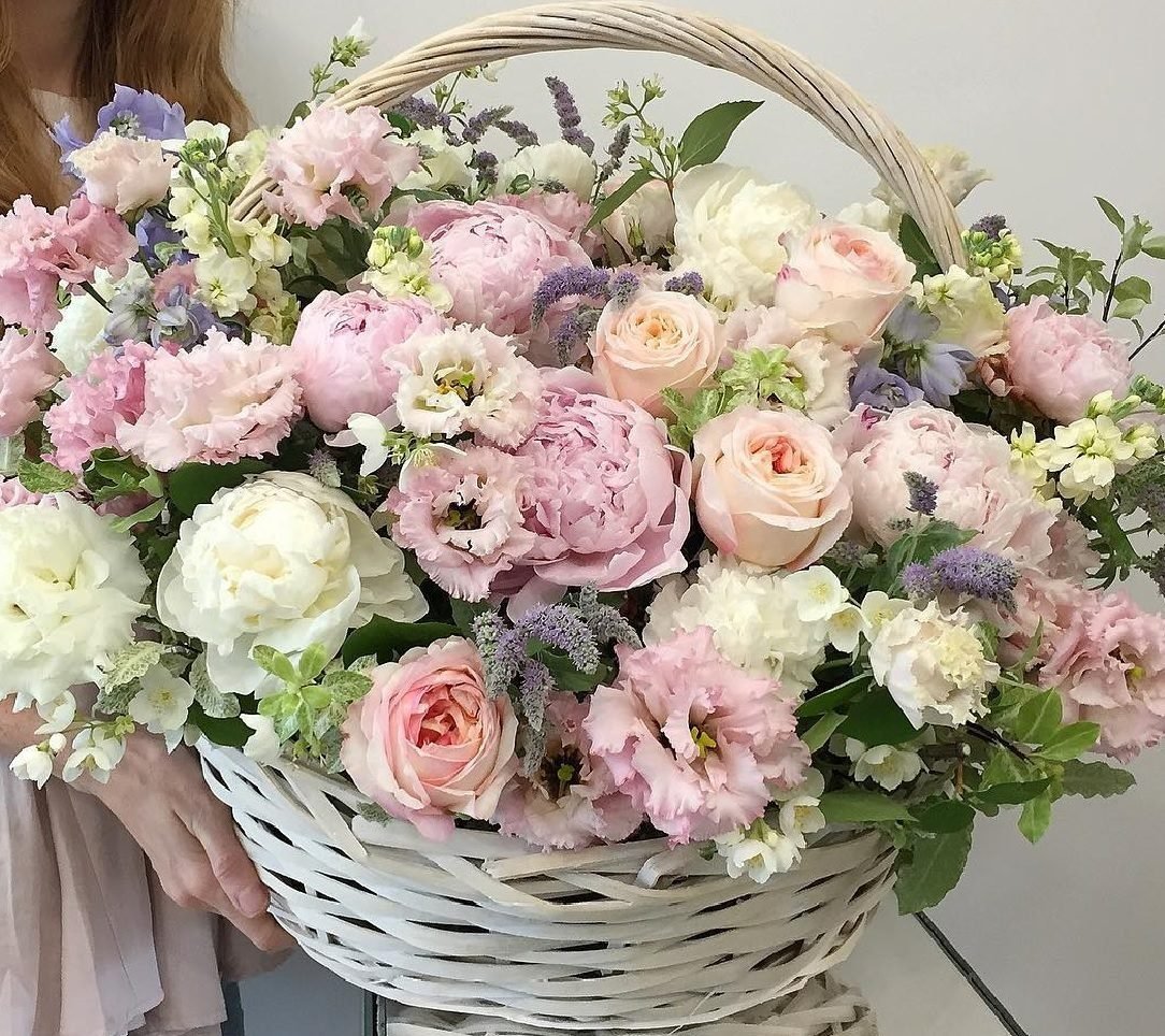 Ранункулюс Прованс