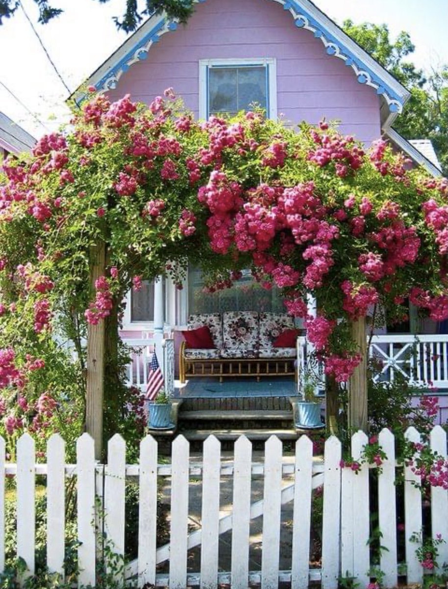 Роза Martha’s Vineyard