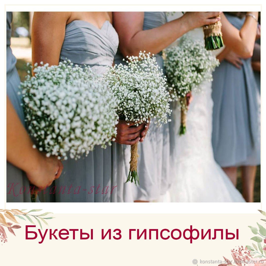 Гипсофила Изумрудная