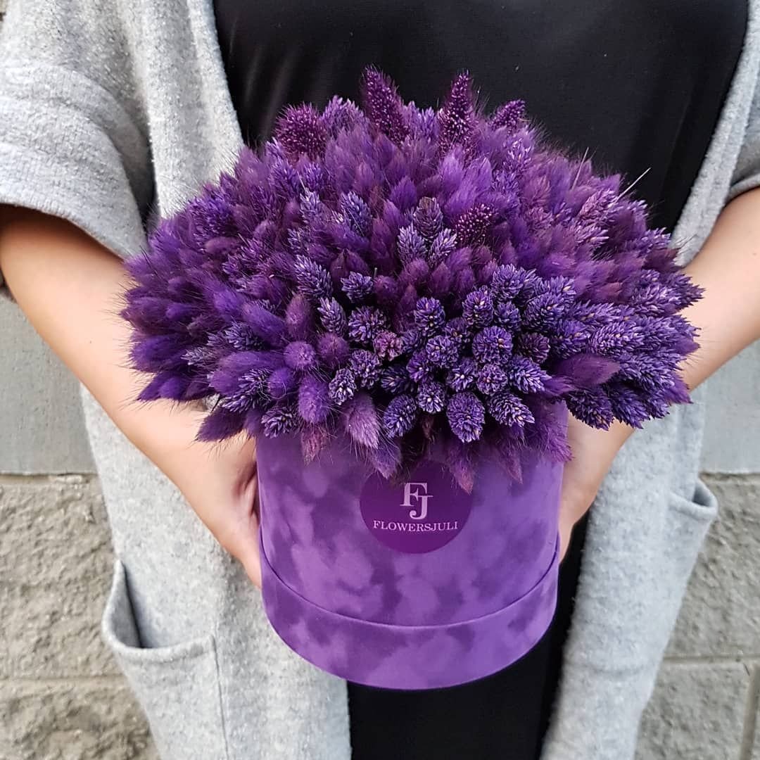 Фиолетовые цветы сухоцветы