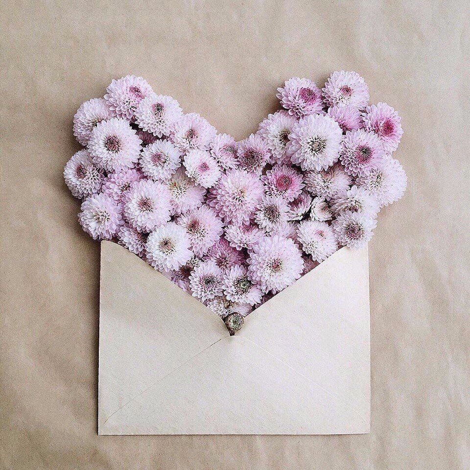 Цветочные конвертики 💐