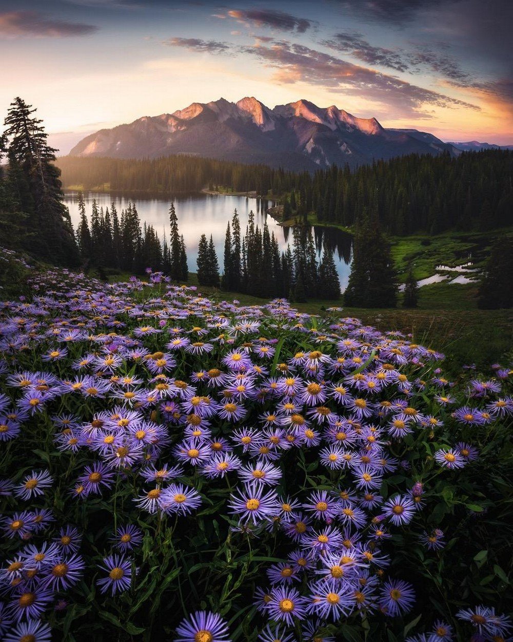 Красивая природа