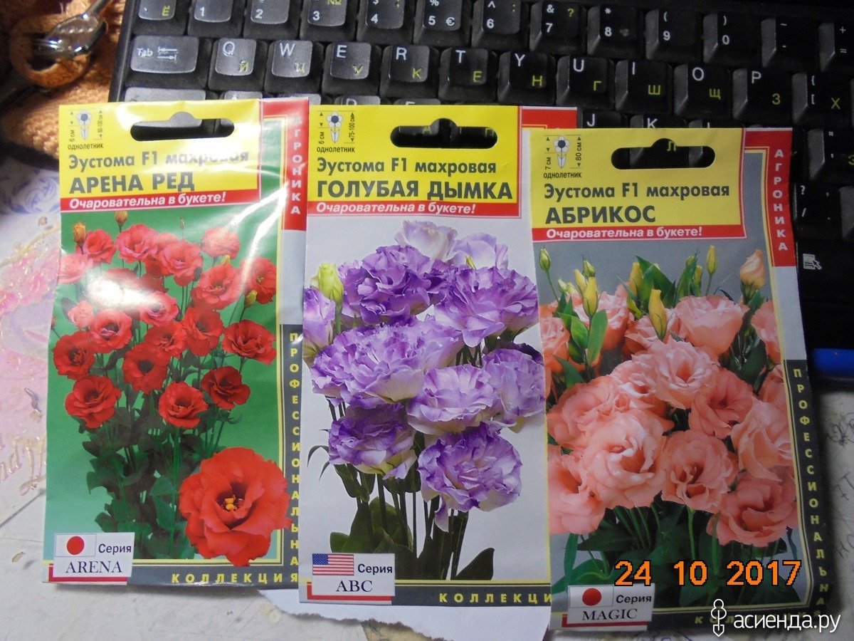 Эустома Арена ред, 5шт, семена профи, п+