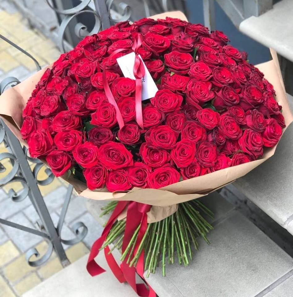 101 Красная голландская роза
