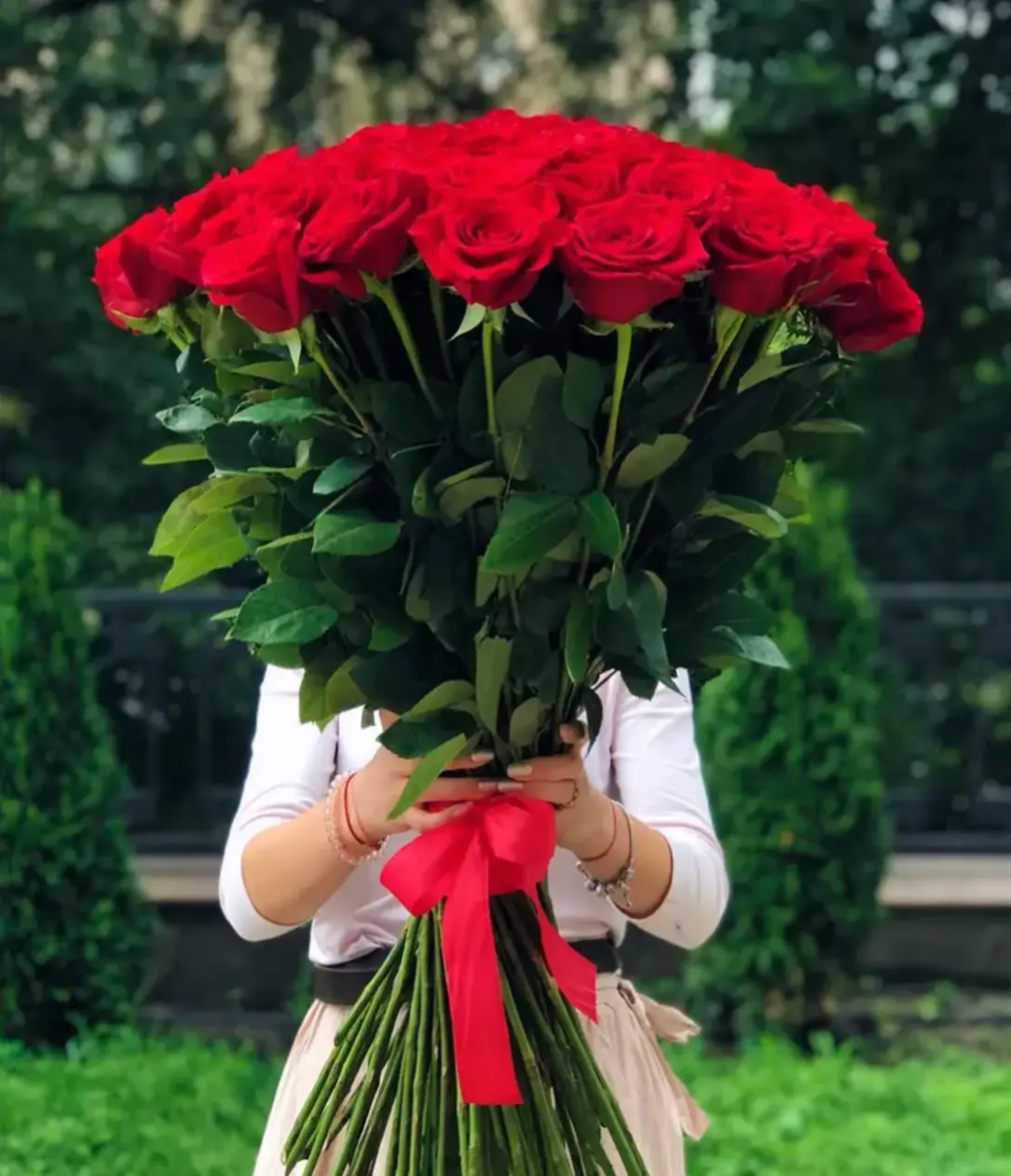 101 Красная голландская роза