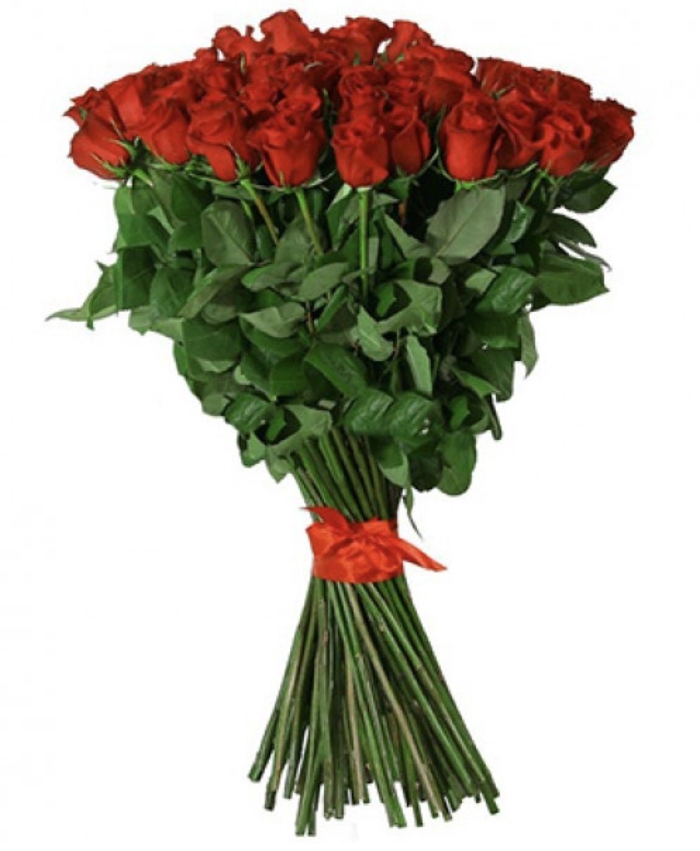Красные розы длинные. Розы 200 см.