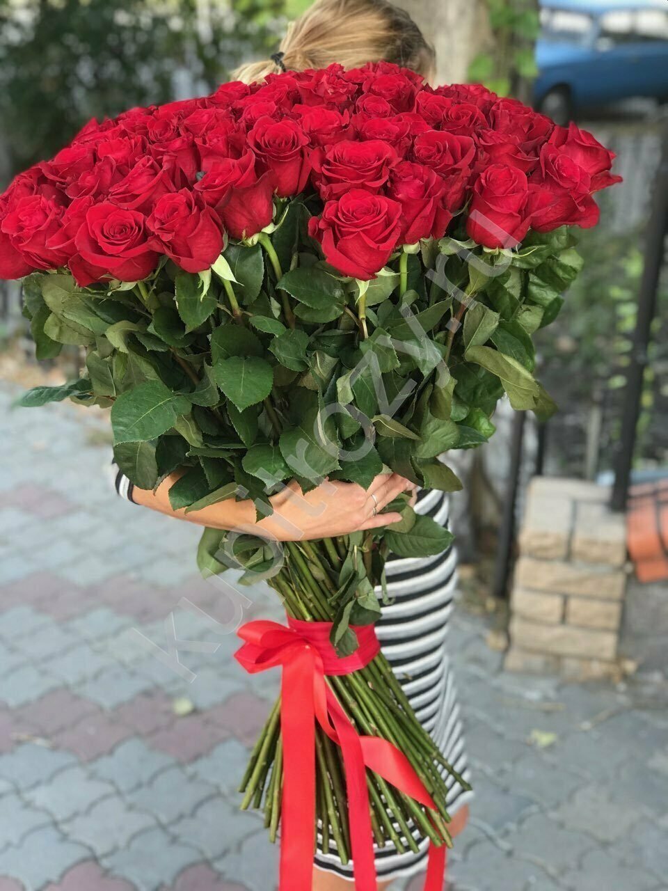 Роза Эквадор 80см