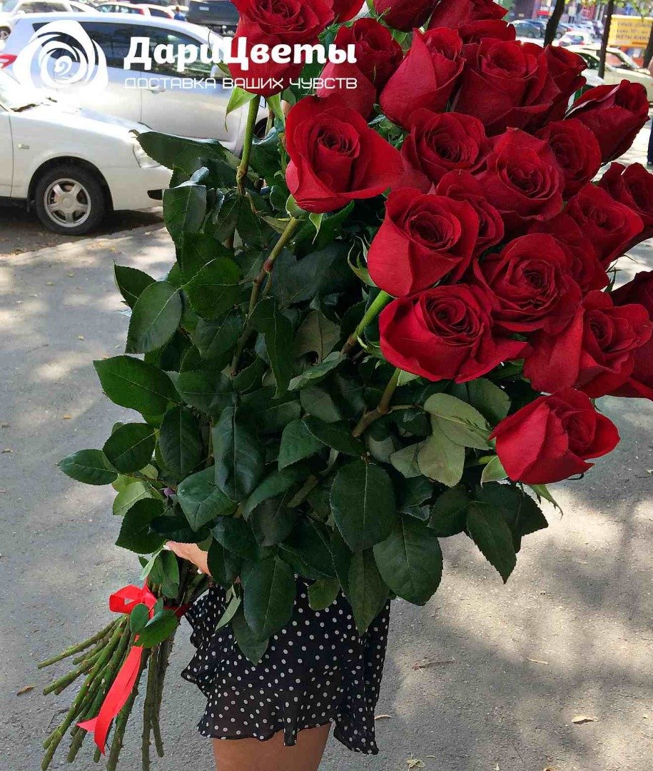 Роза Голландия 120см