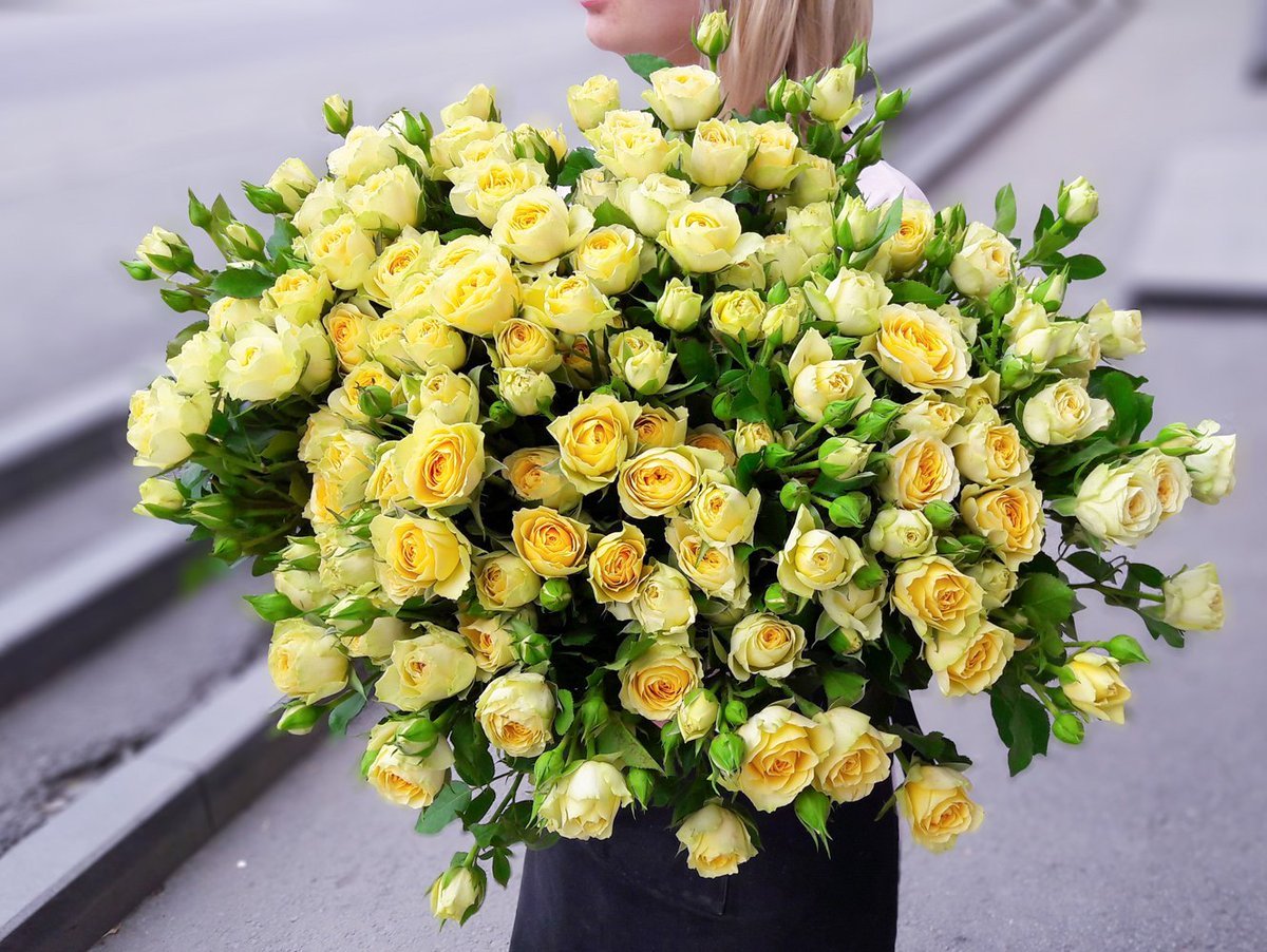Роза кустовая эксклюзив сенсейшен