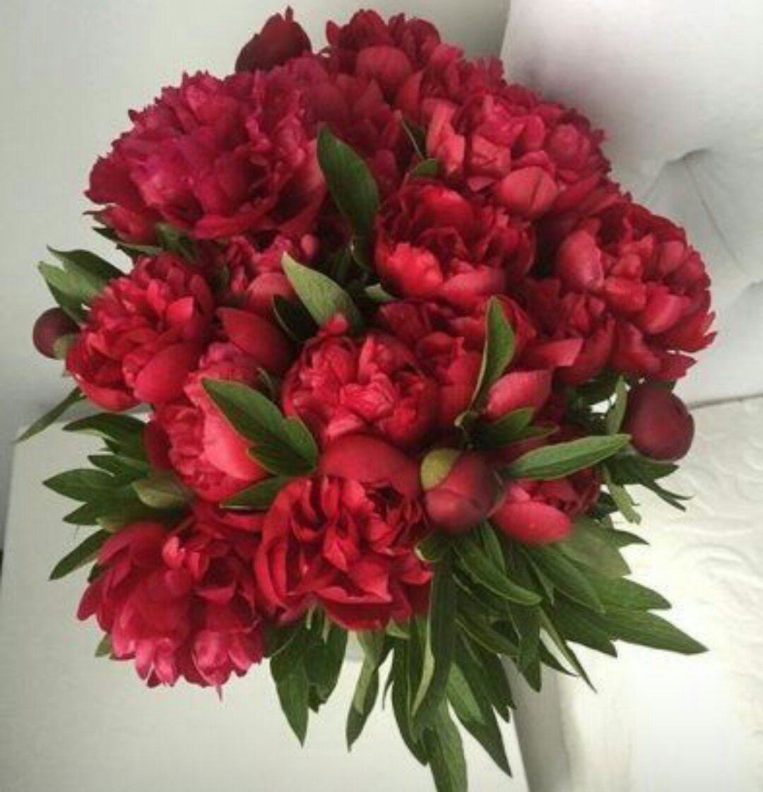 Шикарный букет красных пионов