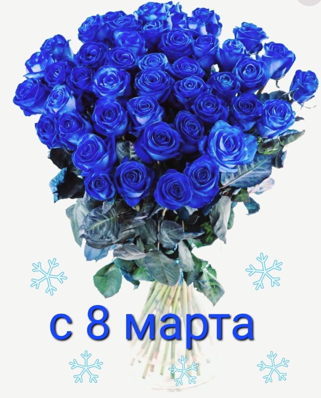Большой букет синих роз