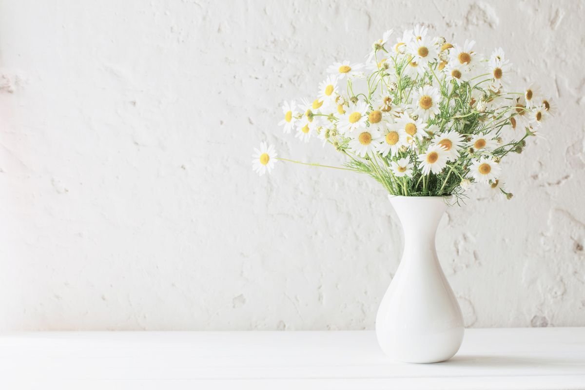 Daisies in Vase 2782 / ромашки в вазе