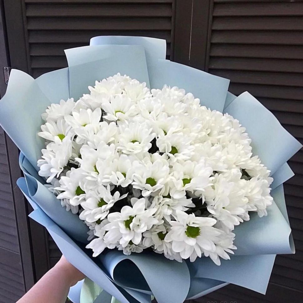 11 Кустовых хризантем