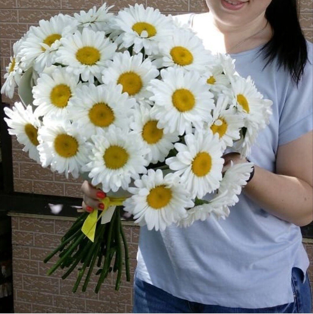 Букет из крупных ромашек