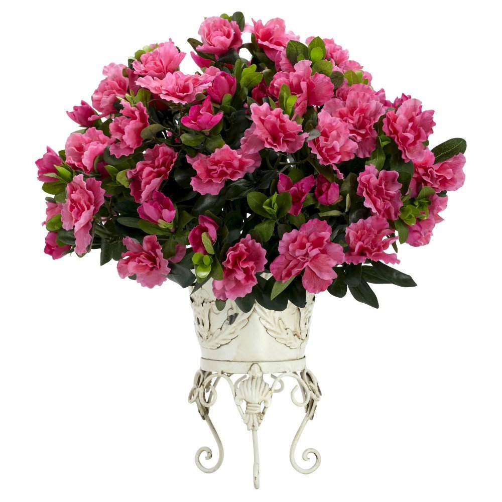 Azalea букет