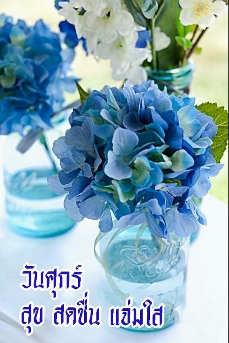 Голубые цветы
