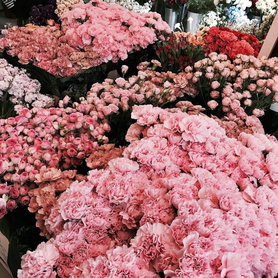 Wildness aesthetic