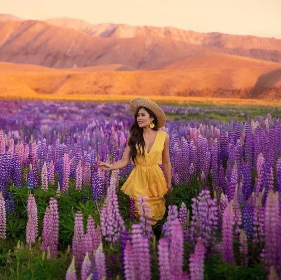 Фотосессия. В фиолетовом поле 2019