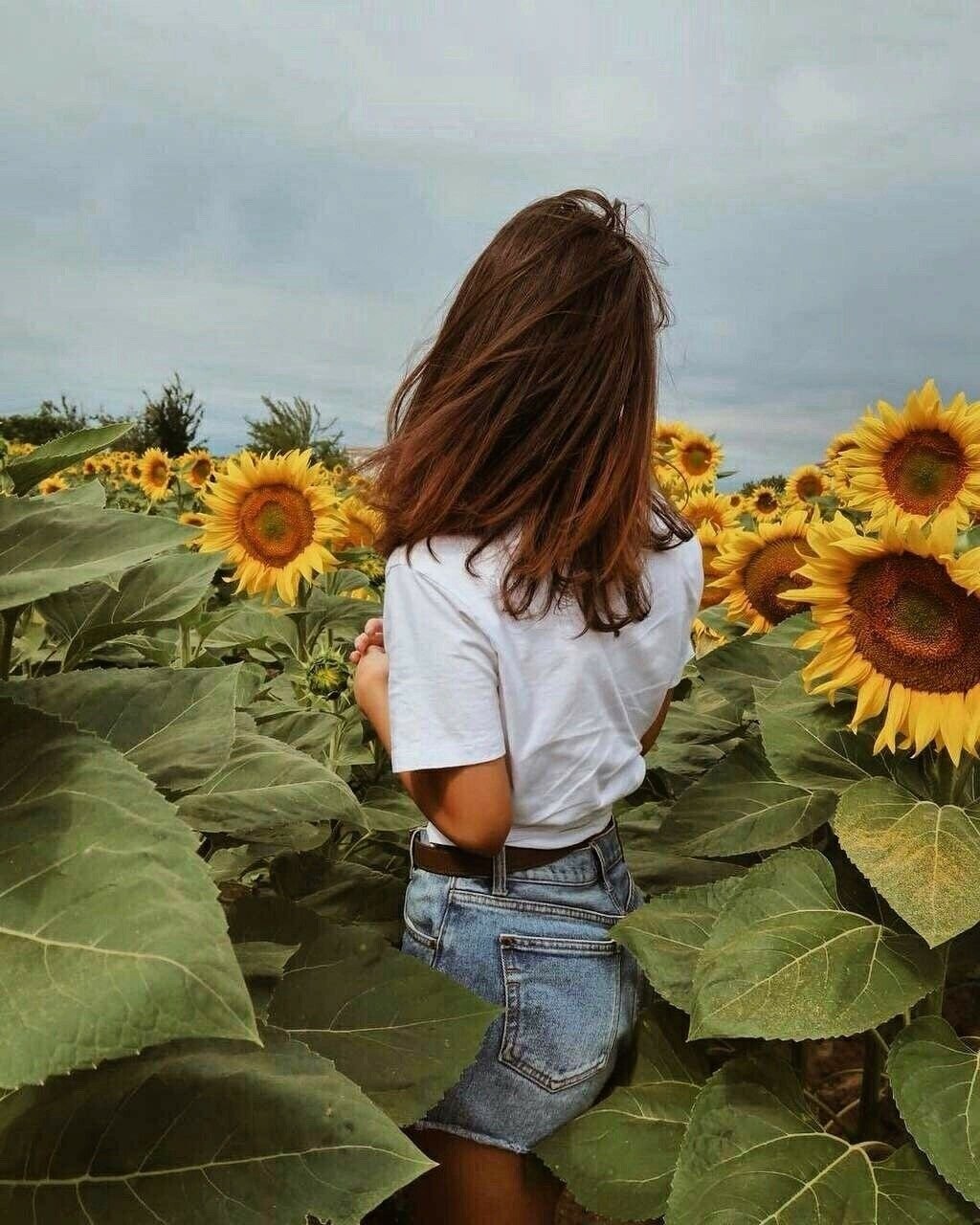 Девушка в подсолнухах