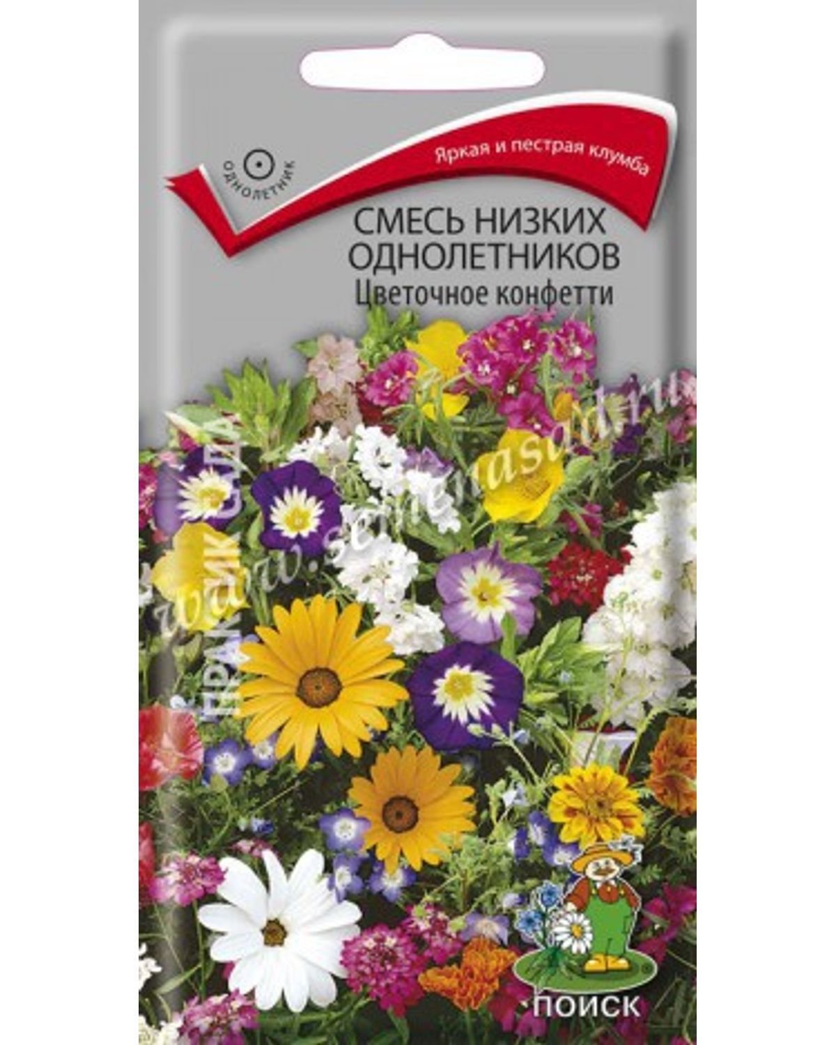 Невысокие однолетние цветы