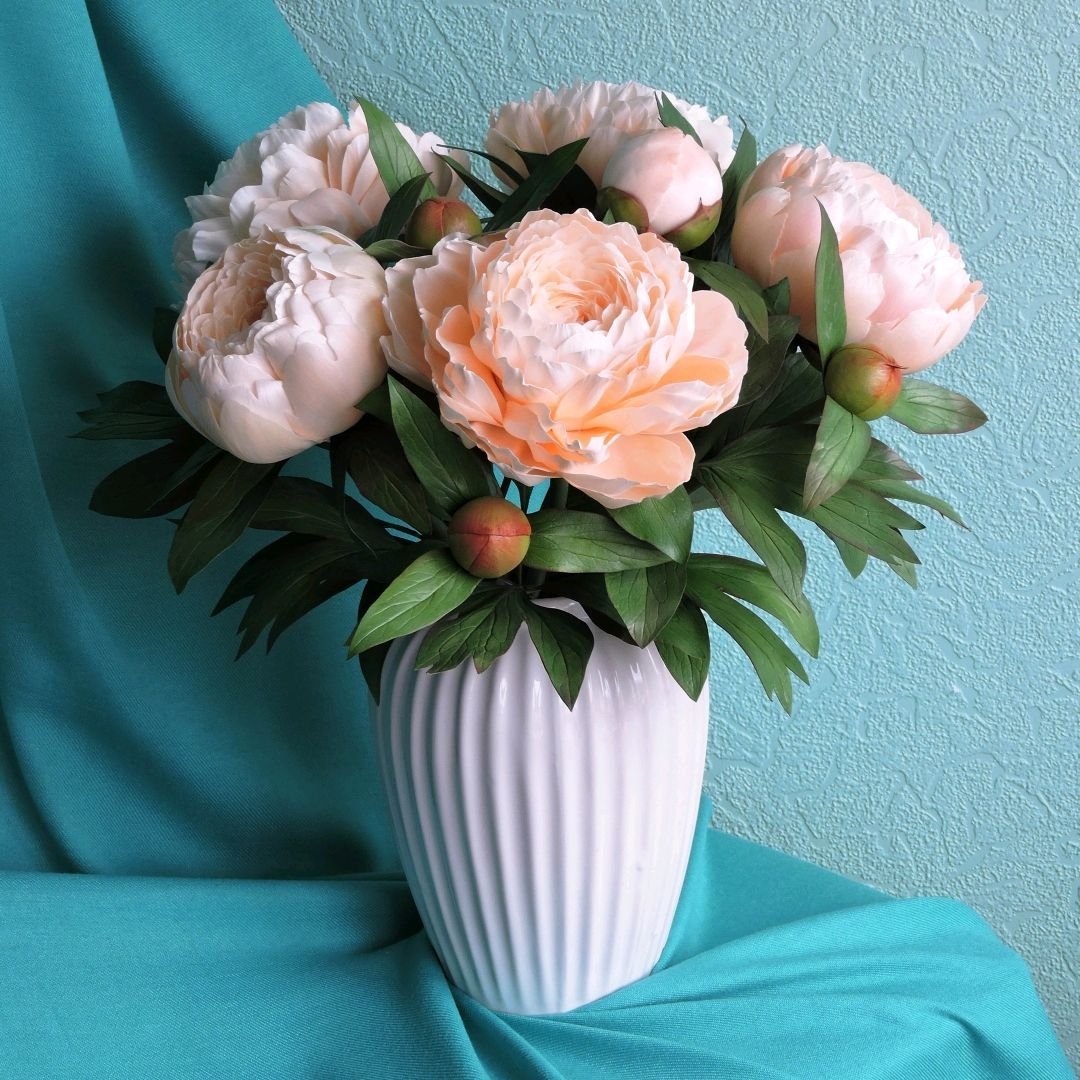 Пион пастель Элеганс Pastel Elegance