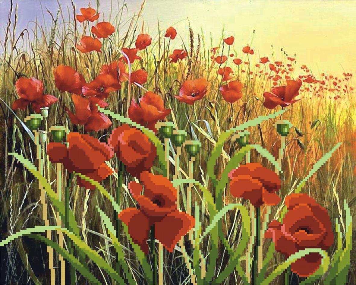 Мэри Дипнолл (Mary Dipnall)