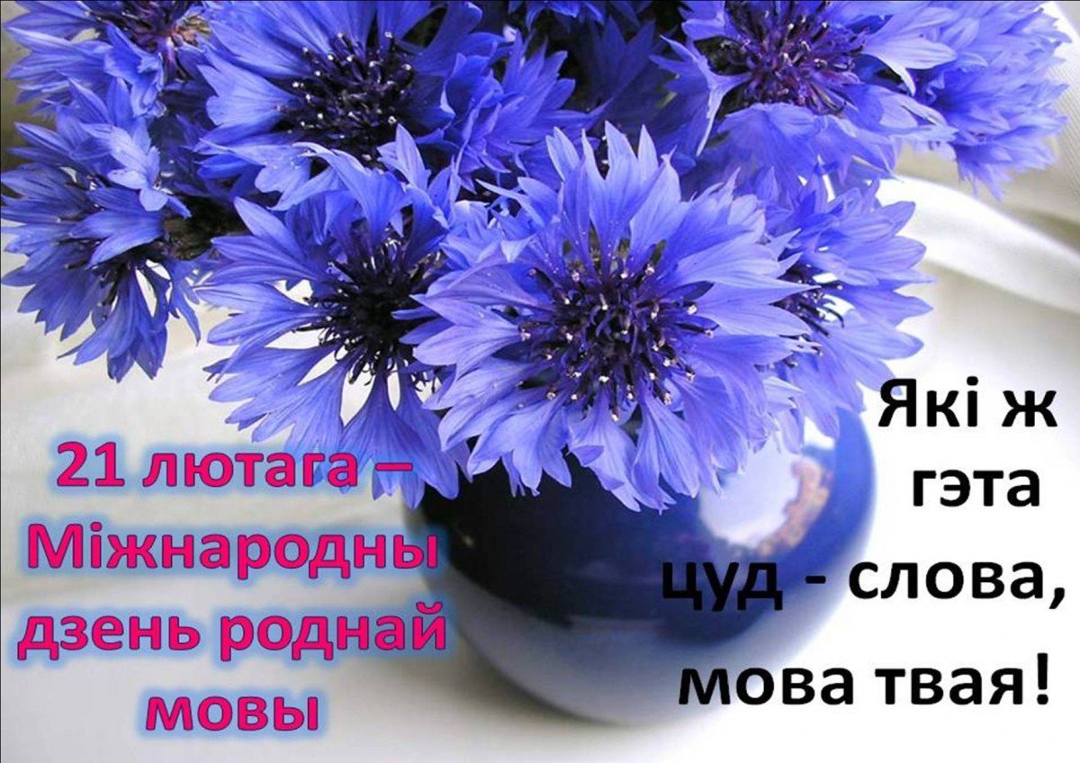Василек цветы