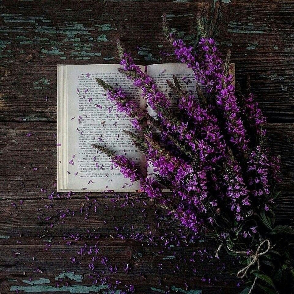 Фиолетовые книги Эстетика