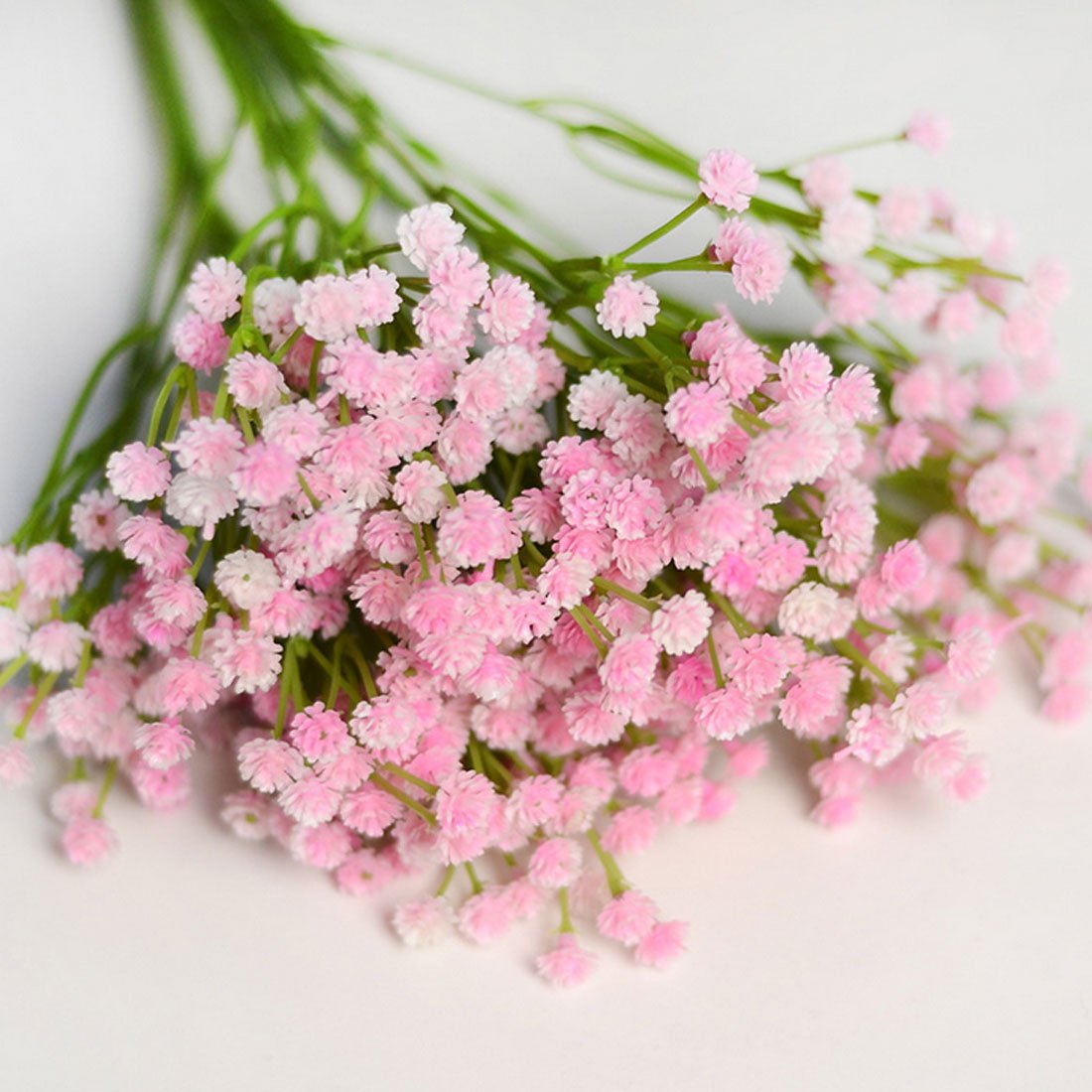 Гипсофила метельчатая Pink Festival