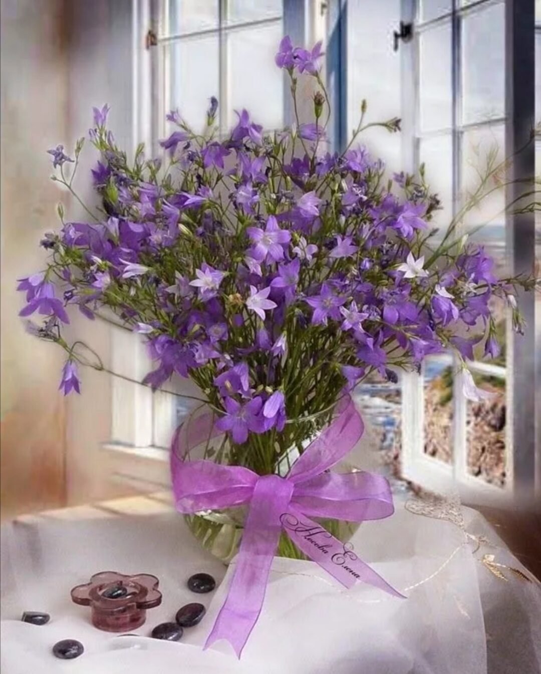 Кампанула Лавандовая