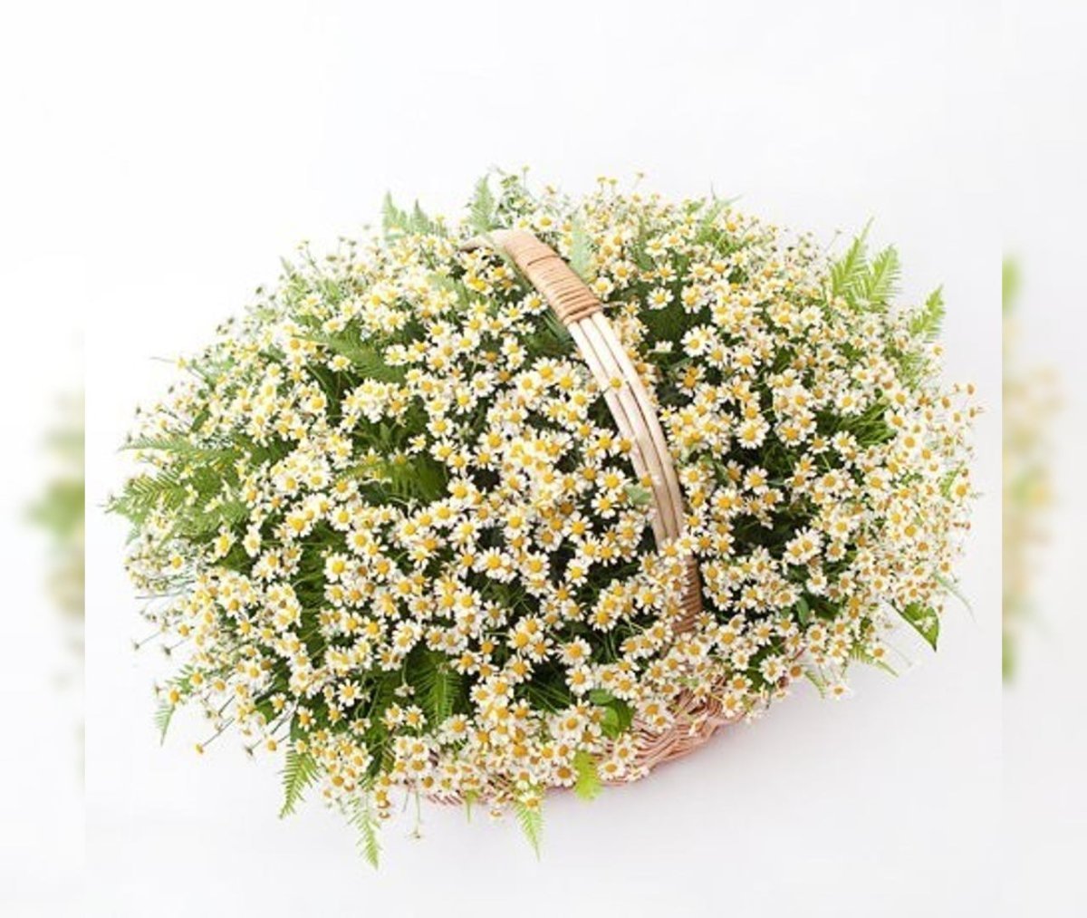 Корзина из ромашек