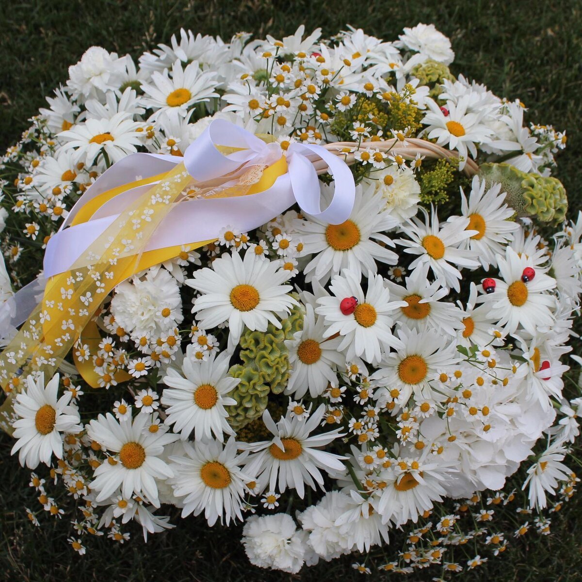 Шикарный букет ромашек