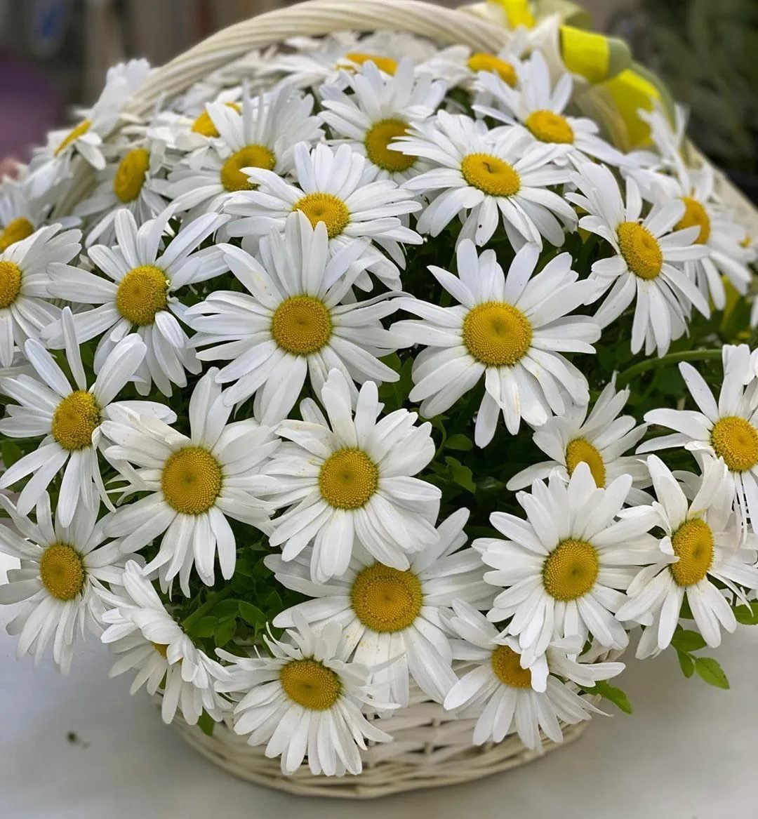 Шикарный букет ромашек